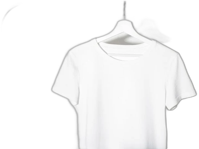 Ilustrasi Kaos